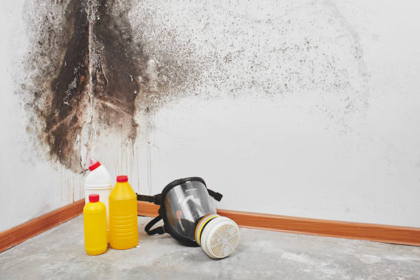 Best Industrial Mold Remediation in Harrison, MI