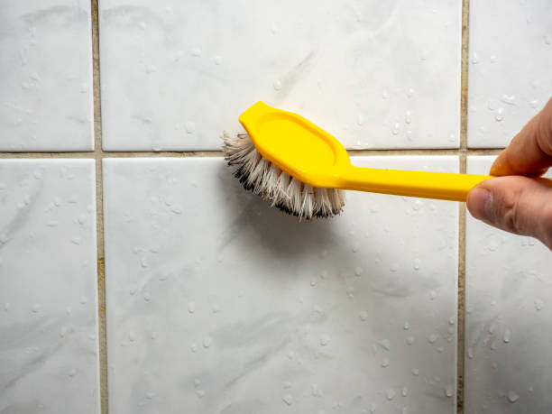 Best Residential Mold Remediation in Harrison, MI
