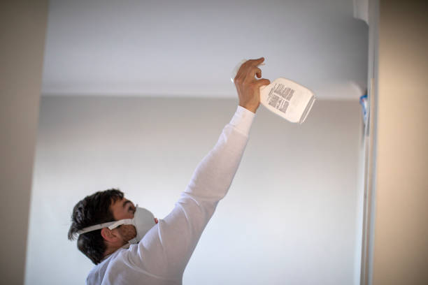 Best Emergency Mold Remediation in Harrison, MI