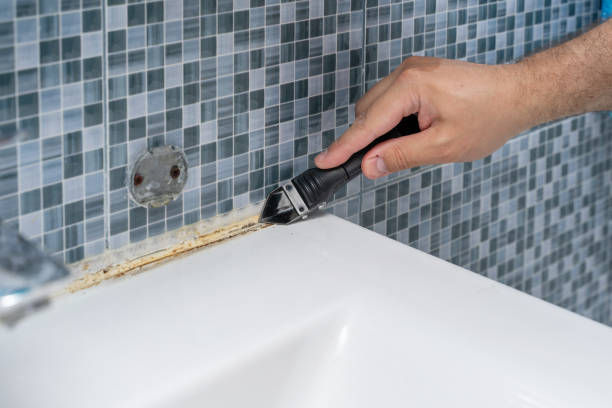 Best Commercial Mold Remediation in Harrison, MI