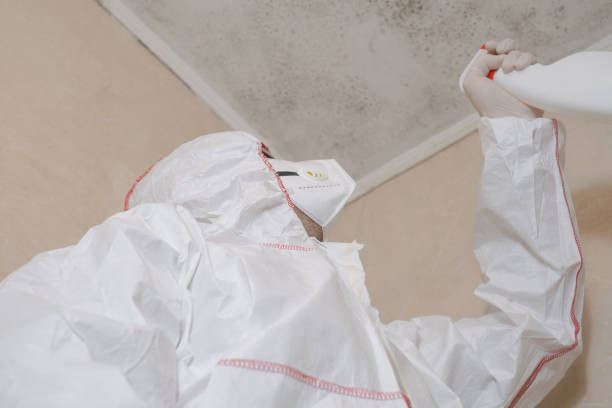 Trusted Harrison, MI Mold Remediation Experts