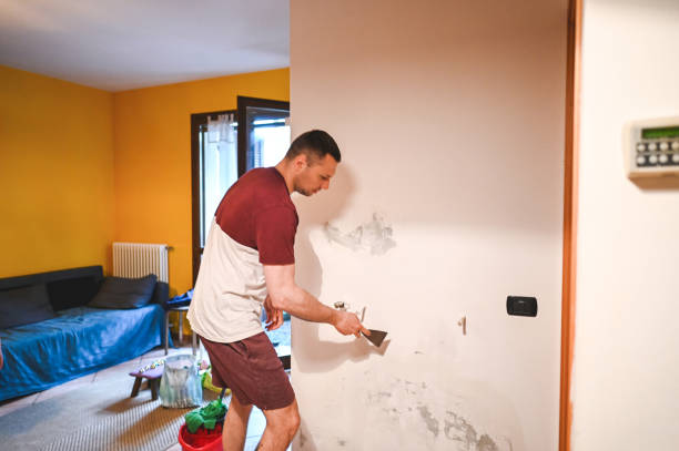  Harrison, MI Mold Removal Pros